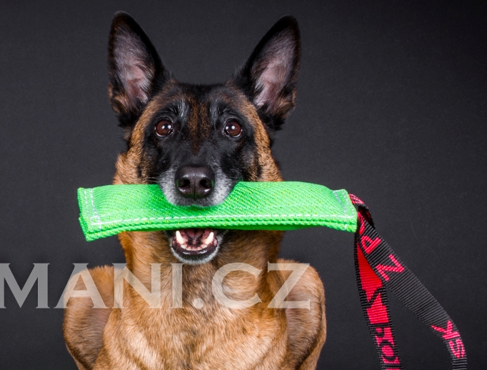 Z-Polytanu SK Pešek ring Bullsport 25x6cm zelený 