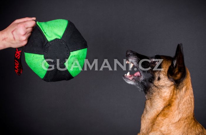 Z-Polytanu SK Míč ringový velký zelený