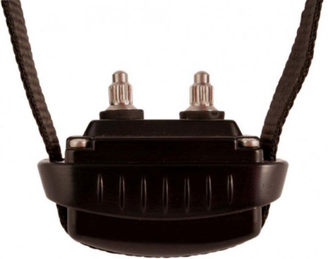 DOG TRACE d-mute small light