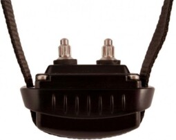 DOG TRACE d-mute small