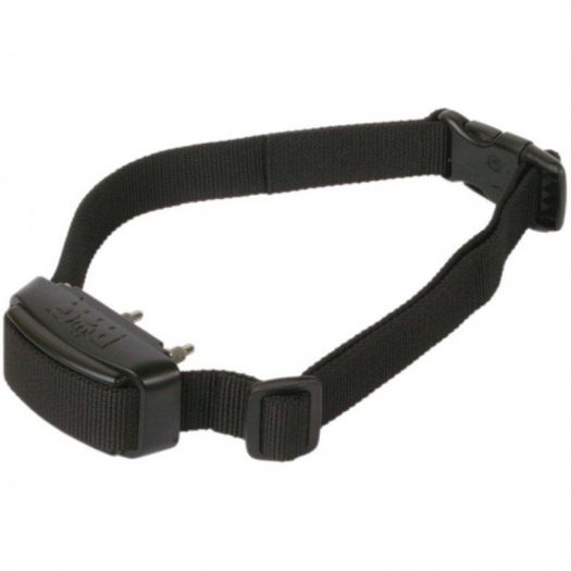 DOG TRACE d-mute light