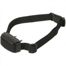 DOG TRACE d-mute light