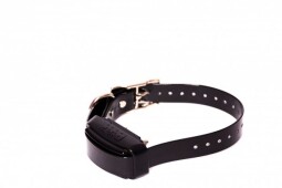 DOG TRACE d-control professional 1000