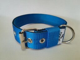 Obojek MAG 4cm tyrkysový 60cm
